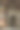保加利亚里拉修道院的壁画图片下载