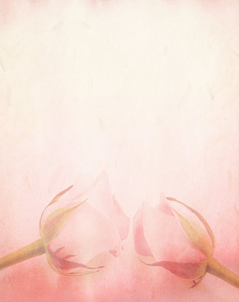 浪漫的粉红色玫瑰与纸的背景。情人节壁纸拼贴纸由照片和纸图片下载