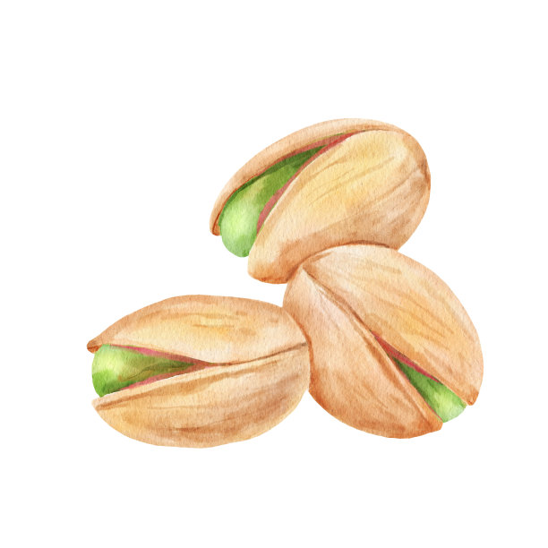 一堆开心果。水彩插图孤立在白色图片下载
