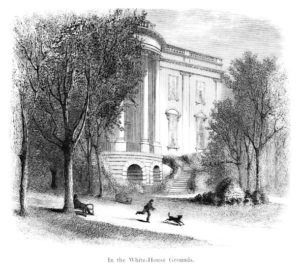 白宫，华盛顿特区，美国，美国地理图片下载