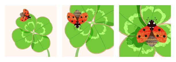 集美丽的红色瓢虫在绿色的四叶草叶作为好运和幸福的象征。图片下载