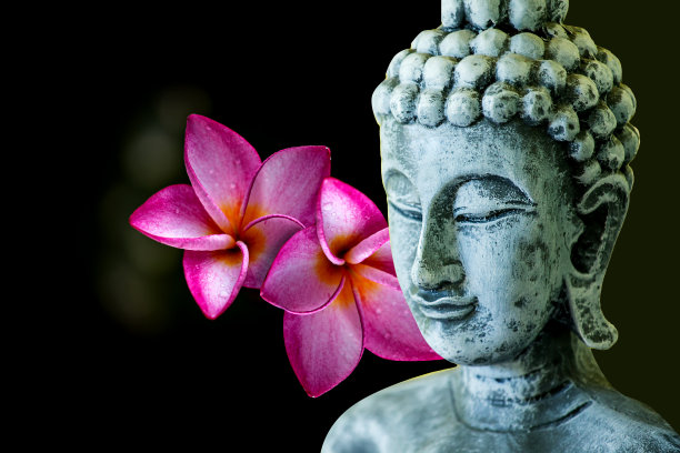 佛在黑暗的背景与花。图片下载