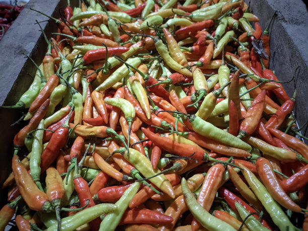 篮子里有各种颜色的辣椒，从浅绿色到深红色都有图片下载