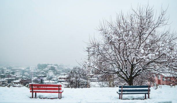 两个公园长椅情侣情人节在下雪的空气到美好的城市景观，长椅是模糊的图片下载