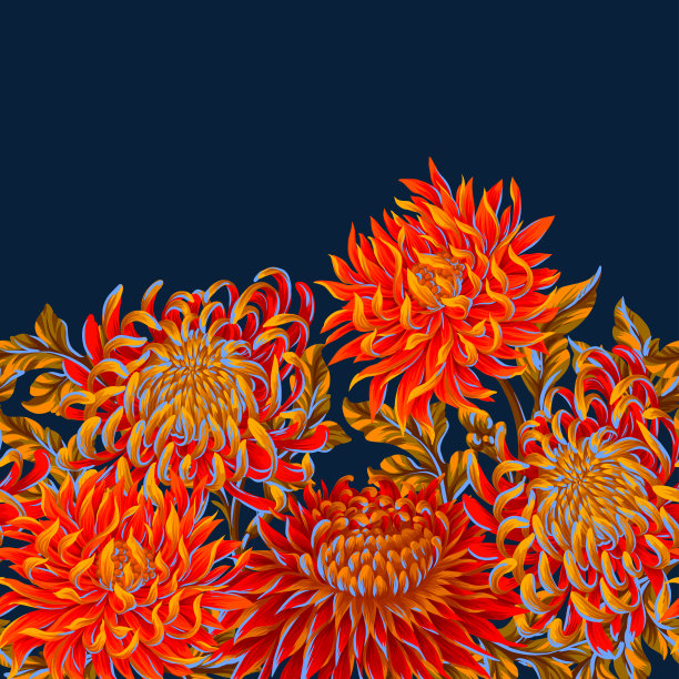 无缝边界与菊花。向量。图片下载