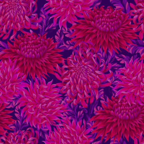 菊花的无缝图案。向量。图片下载