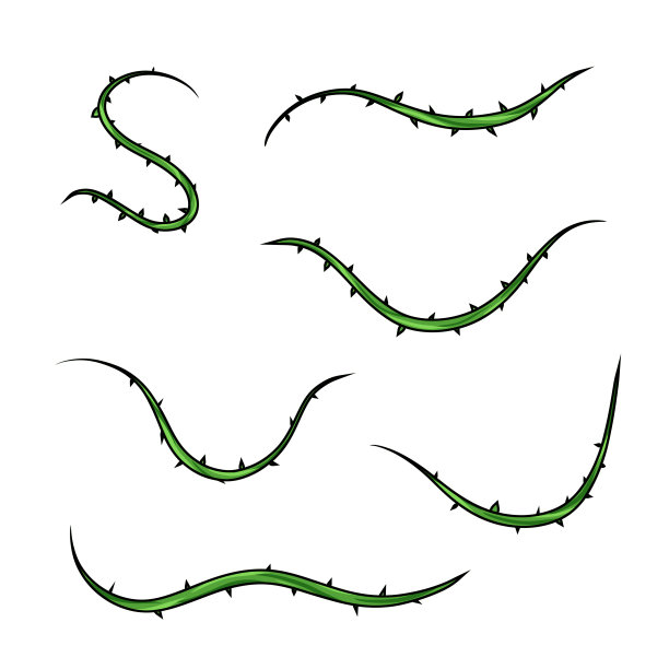 尖锐藤蔓的形状。荆棘枝图片下载