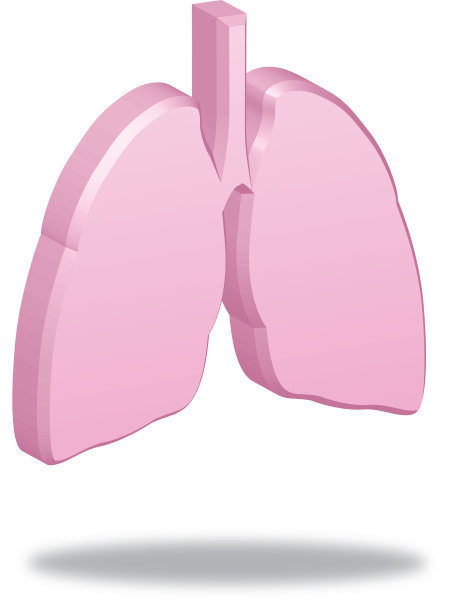 维肺图标图片下载