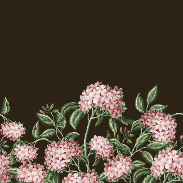 复古的边界与花枝。向量。图片下载