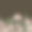 复古的边界与花枝。向量。图片下载