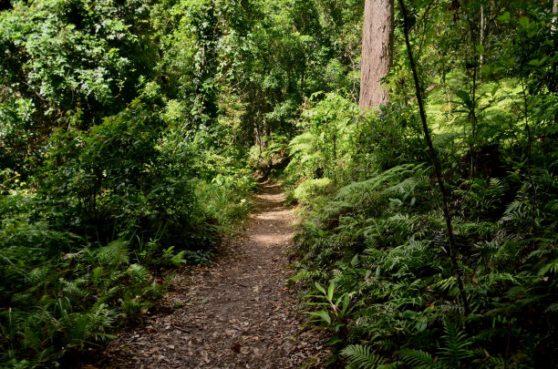 澳大利亚昆士兰州努沙国家公园图片下载