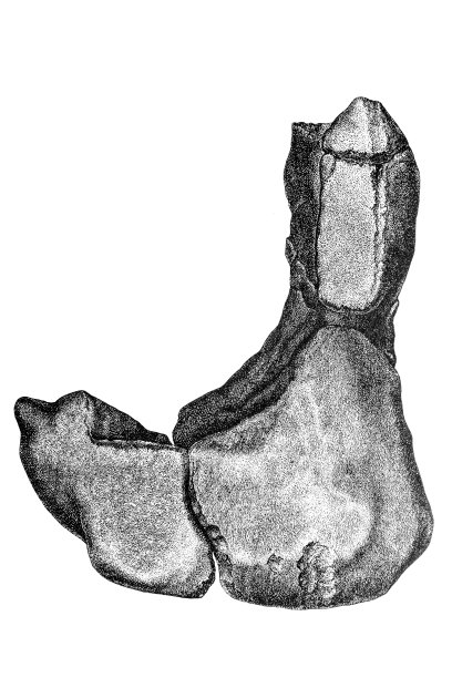Butsura陨石图片下载