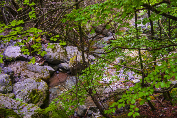 河的石头图片下载