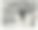 教皇利奥十三世的王座室，梵蒂冈，1890年代，19世纪图片下载