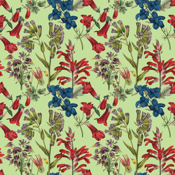 维多利亚植物，手工着色，无缝重复模式。逼真的盛开孤立的花复古织物背景。美丽的农舍花园和野花。壁纸巴洛克风格。绘画雕刻。维多利亚时代的插图。股票插图图片下载