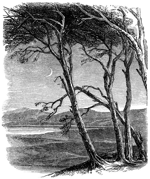 苏格兰西斯，麦克白和班柯遇见三个女巫的地方——威廉·莎士比亚的作品图片下载