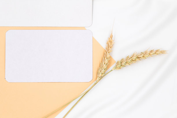 贺卡模型与信封和小麦小穗植物，背景与复制空间，俯视图，平铺图片下载