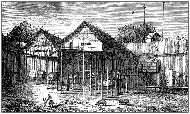 古董插图、民族志和土著文化:婆罗洲达雅克村图片下载