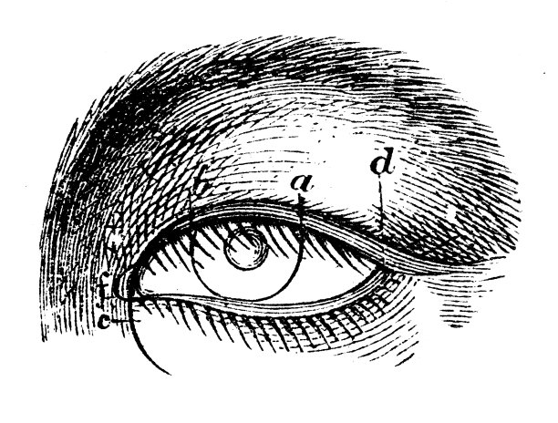 古董插图，民族志和土著文化:日本眼睛图片下载