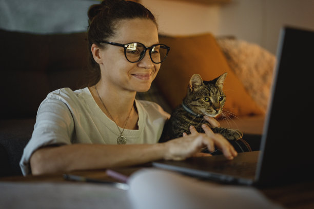 年轻的女自由职业者学生晚上在家用笔记本电脑工作，怀里抱着一只灰猫图片下载
