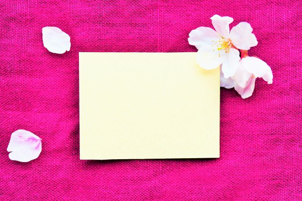 黄色评论空间的模型，红色布的背景上有樱花图片下载