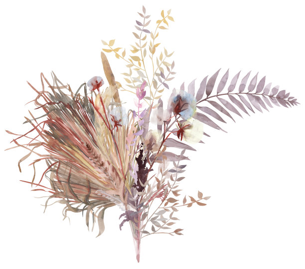 波西米亚风格的水彩花束与干花的棕榈和蕨类植物的叶子图片下载