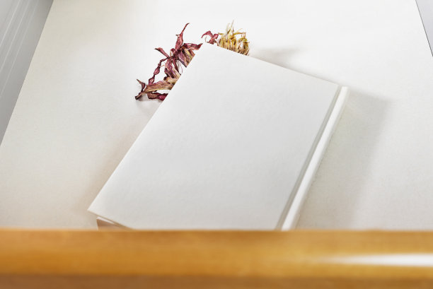 抽屉里有鲜花的书图片下载