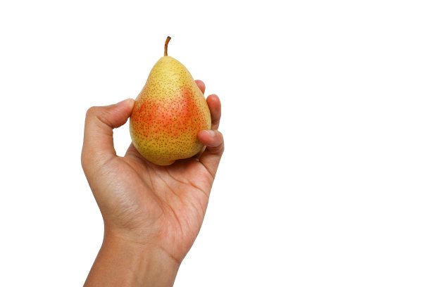 欧洲梨或梨属植物。手拿一个新鲜的欧洲梨在白色的背景图片下载