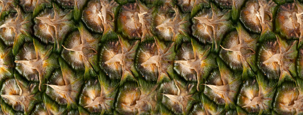 菠萝皮纹理背景，香蕉图案，Comosus热带水果横幅，成熟的松树苹果模型图片下载