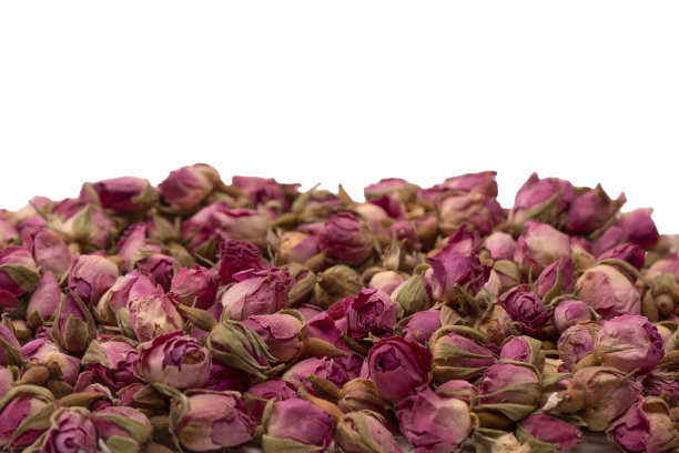 在白色背景上孤立的干茶蔷薇。图片下载