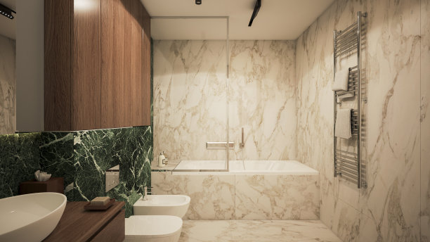 室内设计。体系结构。计算机生成的浴室图像。建筑可视化。3D渲染。图片下载