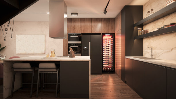 室内设计。体系结构。电脑生成的厨房图像。建筑可视化。3D渲染。图片下载