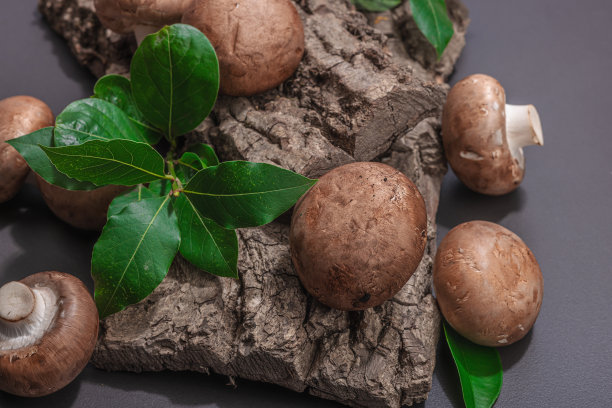 皇家冠军在橡树树皮和新鲜的绿色月桂叶。烹饪纯素食物的原料图片下载