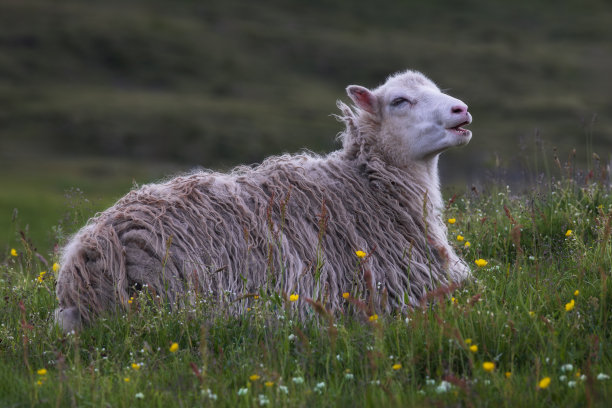 公司的女子图片下载