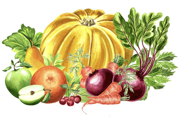 黄色南瓜与水果、蔬菜的水彩画组成。图片下载