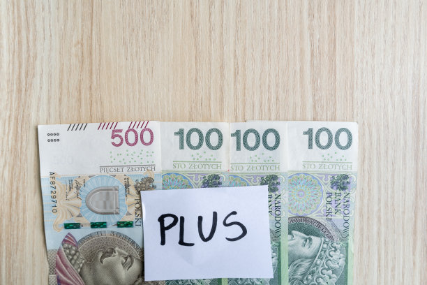 波兰的社会福利项目增加到800多人。儿童津贴津贴。用波兰货币和复制空间组成。图片下载