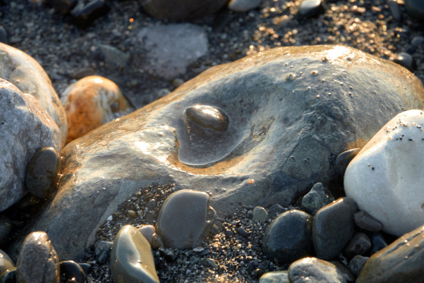 沙滩石头在阳光下闪闪发光的特写。图片下载
