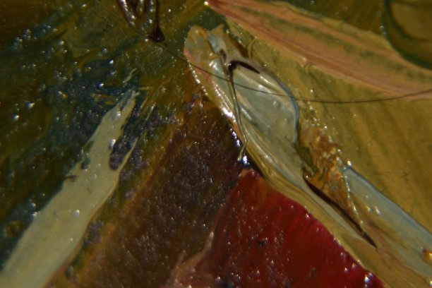 油画上的布面油画特写图片下载