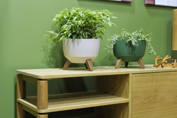 装饰绿色室内植物在不同的花盆在橱柜。现代设计的房间装饰生态风格。客厅里的斯堪的纳维亚饰品。家庭园艺概念。舒适的装饰与丛林的家图片下载