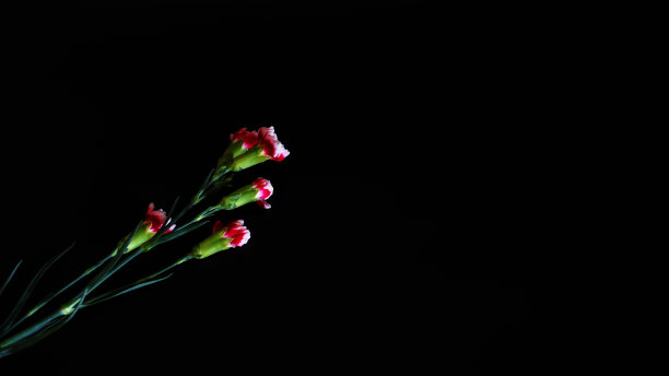 黑色背景的产品图片下载