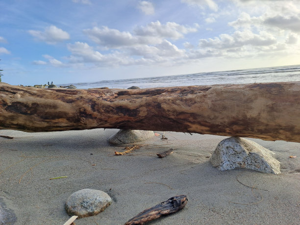 岩石上的大木头在海滩上图片下载