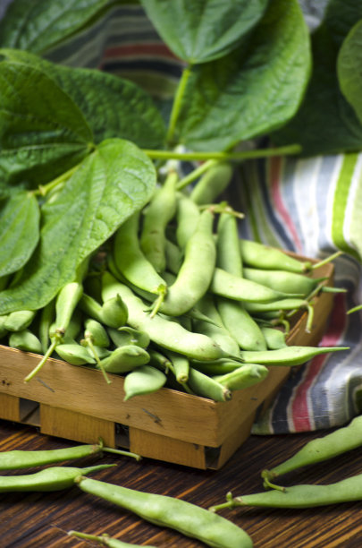 年轻新鲜的绿芦笋豆荚图片下载