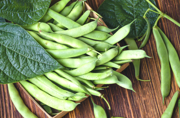 年轻新鲜的绿芦笋豆荚图片下载