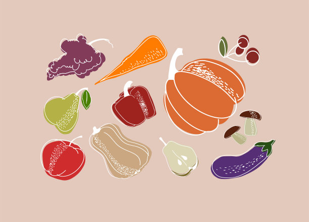 矢量集秋收项目与白色的轮廓。图片下载