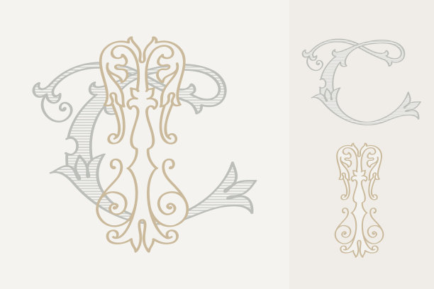 T字母婚礼字母组合创建者工具包。优雅的历史风格字母聚会邀请。图片下载