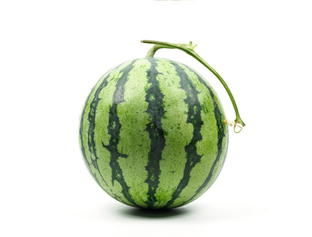 白底西瓜图片下载