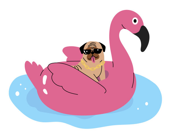 狗在充气火烈鸟圈在游泳池游泳。平面手绘哈巴狗在粉红色的橡胶圈享受假期漂浮在水面上。最好的暑假概念哈巴狗装饰。图片下载