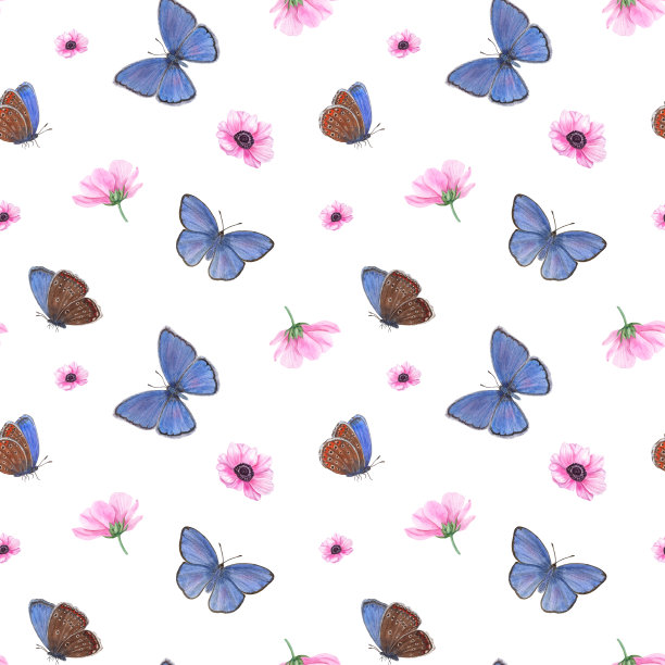 飞翔的蓝蝴蝶和粉红色盛开的银莲花。稀有铜蝶，春花。插图孤立在白色背景上。水彩无缝图案。用于纺织、剪贴簿、包装。图片下载
