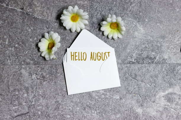 你好，八月概念卡在白色信封与雏菊花图片下载