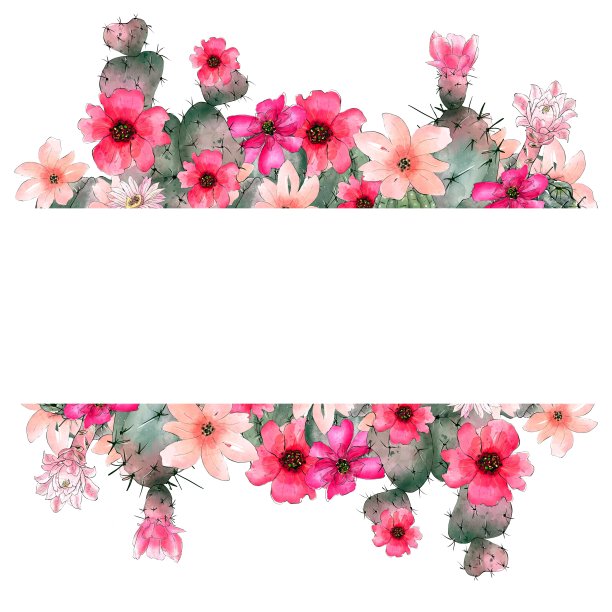 水彩仙人掌模板在白色的背景。手绘花卉插图。图片下载